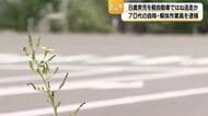 「交通事故を起こした記憶はない」79歳男が8歳児をひき逃げか　石川・白山市の交差点