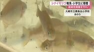 絶滅危惧種「シナイモツゴ」の稚魚を大崎市の小学校に寄贈　飼育を通し自然環境の大切さ学ぶ〈宮城〉