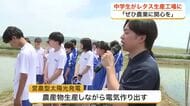 「私の知ってる農業と違う」　舞台ファームの国内最大級レタス工場と営農型太陽光発電を中学生見学