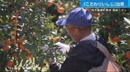 とっても甘い高級ミカン「こだわりいしじ」出荷始まる 広島・呉市