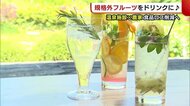 温泉施設×農家 “規格外フルーツ”でドリンク作り! 食品ロス削減目指す【新潟市西蒲区】