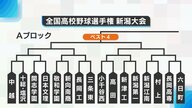 【夏の高校野球･新潟】組み合わせ決定！7年ぶりの甲子園狙う中越が第1シード 初戦で日本文理VS開志学園など注目カードも…強豪私学に力のある公立校も虎視眈々と甲子園狙う