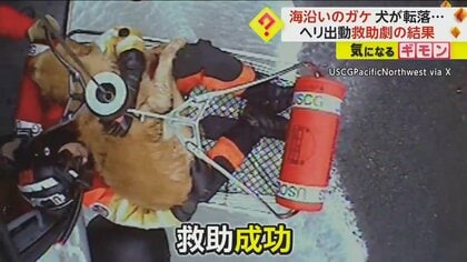 新年早々レスキュー出動　海沿いの崖から落ちて傷ついた“犬”　ヘリでつり下げられた隊員が無事救助　米・オレゴン州