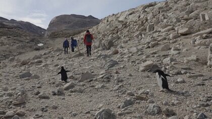 南極プロジェクト　唯一の南極特別保護地区を取材