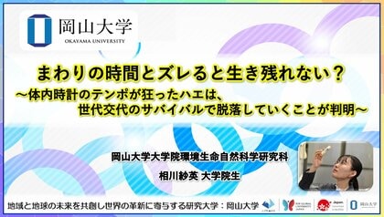 【岡山大学】まわりの時間とズレると生き残れない？～体内時計のテンポが狂ったハエは、世代交代のサバイバルで脱落していくことが判明～