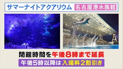 雨でも猛暑でも…夏本番の“屋内お出かけスポット” 名古屋港水族館では20日から「サマーナイトアクアリウム」