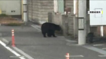 福島市の市街地に熊出没相次ぐ　列車と衝突する事故も発生　専門家は「線路が移動経路」と指摘