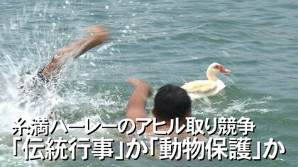 刑事告発に踏み切る事態に“伝統行事”か“動物保護”か　糸満ハーレーのアヒル取り競争をめぐって波紋【沖縄発】