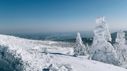 自然がつくる芸術「樹氷」 寒波で急成長続く 立ち枯れなど危機直面も今季は絶好の観賞チャンス【宮城発】