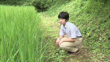 悠仁さま16歳の誕生日　 部活はバドミントン、宿泊行事で「肝試し」、稲作研究も熱心に…充実の日々