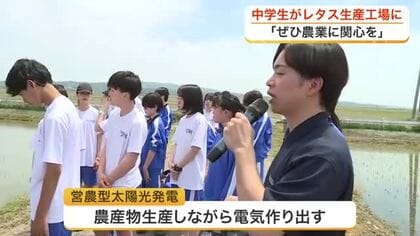 「私の知ってる農業と違う」　舞台ファームの国内最大級レタス工場と営農型太陽光発電を中学生見学
