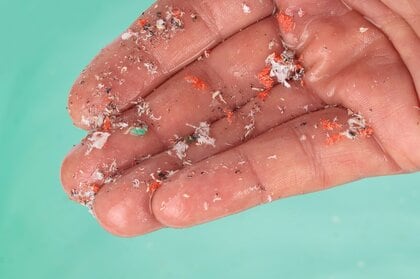 マイクロプラスチックと健康被害の関係を明らかに