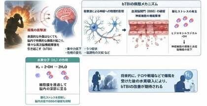 低濃度水素吸入が爆風由来TBIのうつ・社会性障害を抑制｜MiZ・防衛医科大学校 共同研究