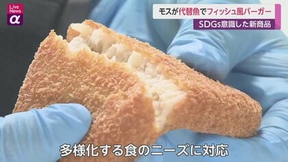 食品サンプル モスバーガー風 フィッシュバーガー 食品サンプル モスバーガー風 フィッシュバーガー - メルカリ