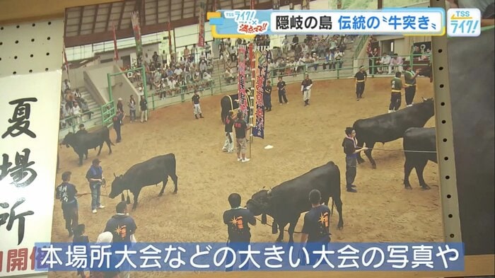 夏場所大会の写真などを展示
