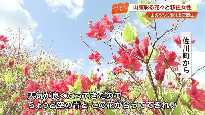 天気が良ければこんな絶景も楽しめる