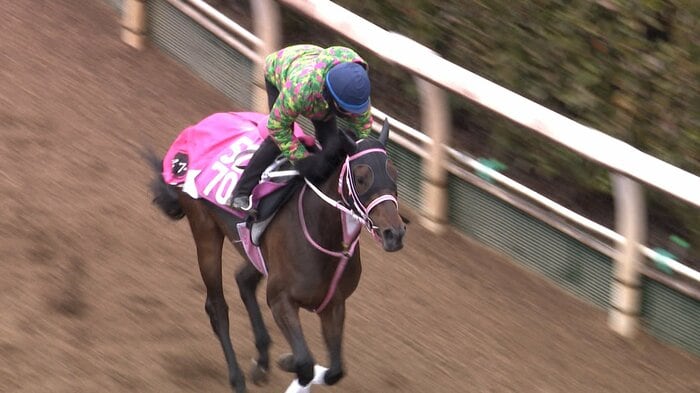 調教タイセイボーグ