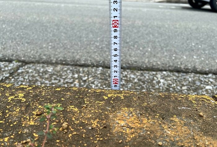 縁石は約15～20センチ（特集班撮影）