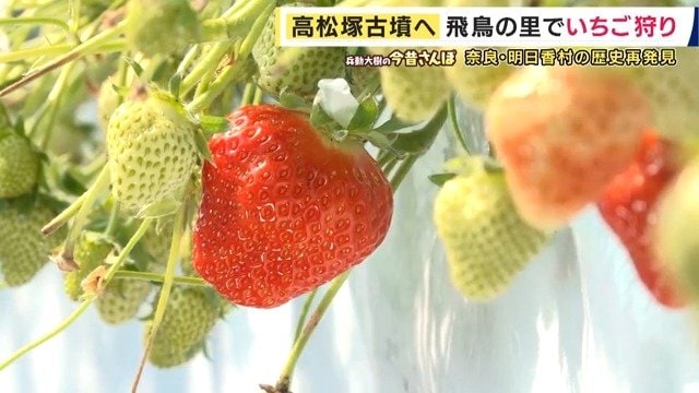 あすかルビー