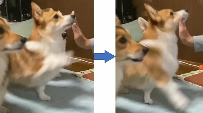 ハイタッチしようとするも、勢いよく空振り!
