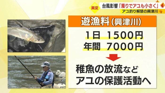 遊漁料減少で保護活動に影響も