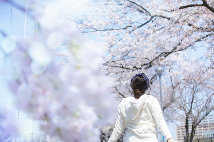 地球温暖化の影響で地域によって開花が早まるという予測も(画像:イメージ)