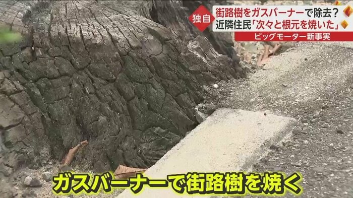 福岡・古賀市ではガスバーナーで街路樹を焼くのが目撃される
