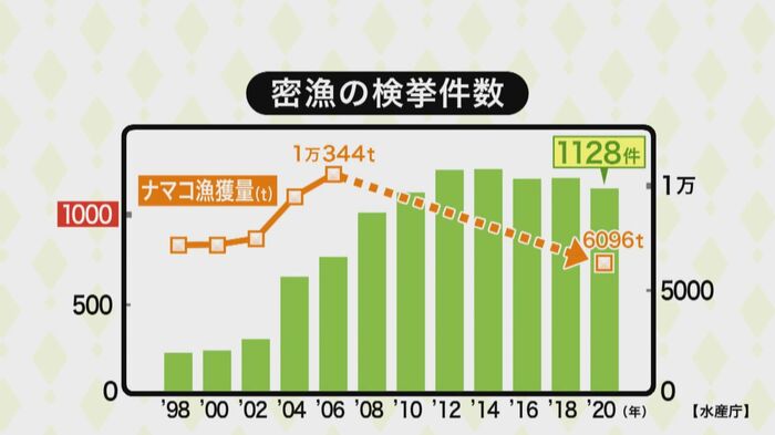 密漁件数が増加し、ナマコの漁獲量は激減