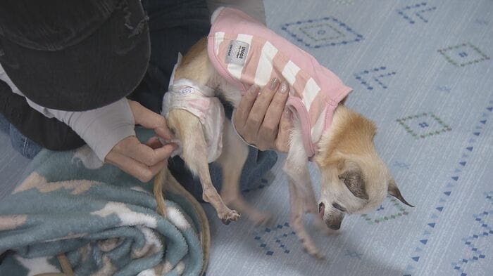 ニュースONE
