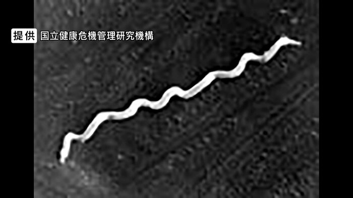 提供：国立健康危機管理研究機構