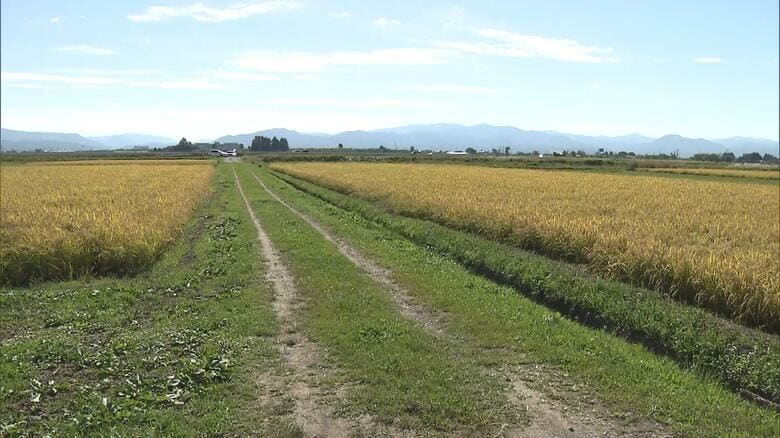 「後ろから熊に襲われた」散歩中の70代男性がクマに襲われ軽傷　これまで出没・目撃情報なく警戒呼びかけ　青森・田舎館村｜FNNプライムオンライン