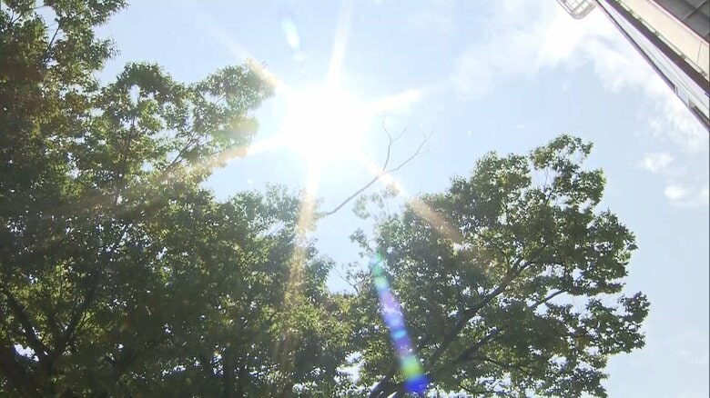 群馬・伊勢崎市で国内最高41.8℃…原因は“複合パターン”関東地方で40℃超え相次ぐ　暑さは5日がピーク｜FNNプライムオンライン