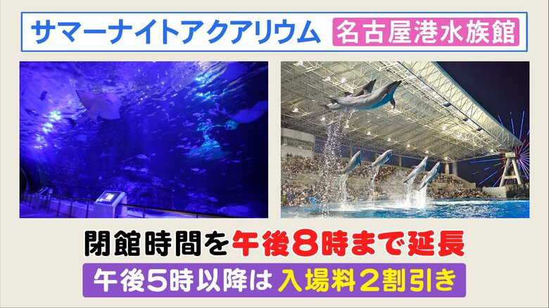 雨でも猛暑でも…夏本番の“屋内お出かけスポット” 名古屋港水族館では20日から「サマーナイトアクアリウム」｜FNNプライムオンライン