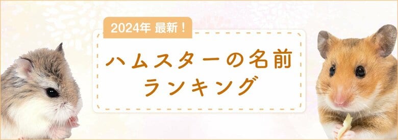 SBIプリズム少短【2024年最新】ハムスターの名前ランキングを発表!