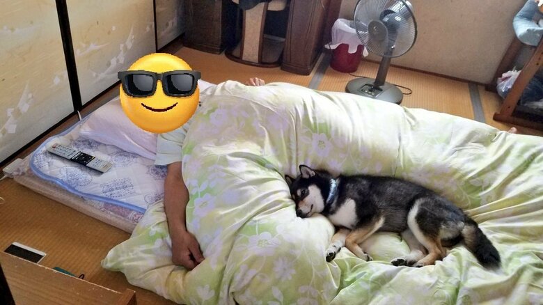 「こんなんされたら起きられない」愛犬がお父さんの布団で一緒にスヤァ…日常の光景なのか飼い主に聞いた｜FNNプライムオンライン