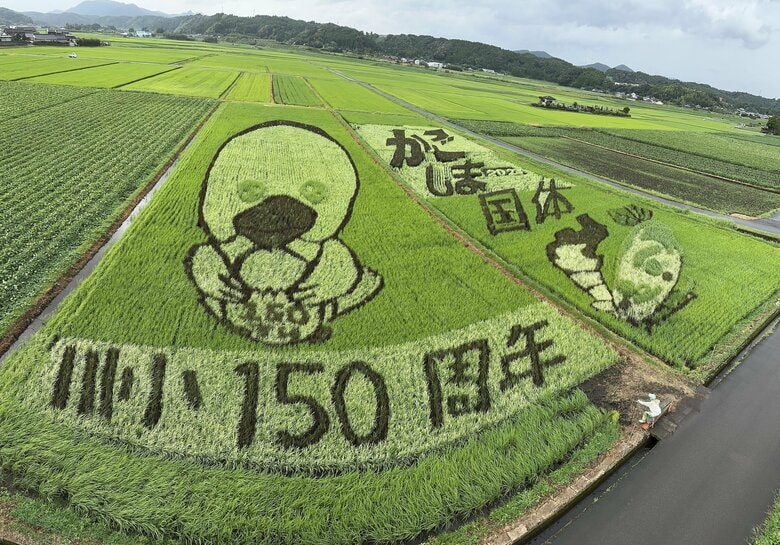 鹿児島の田んぼが巨大なキャンバスに! 2026年は農業と芸術の「二刀流」が出現予定!|FNNプライムオンライン