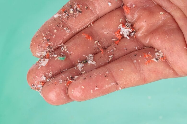 マイクロプラスチックと健康被害の関係を明らかに 東大酒井教授チームが、人体に蓄積する「速度」や「量」の予測モデルを作ることに成功｜FNNプライムオンライン