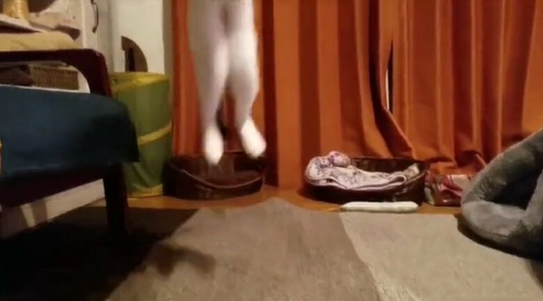 垂直跳びみたいにジャンプ！