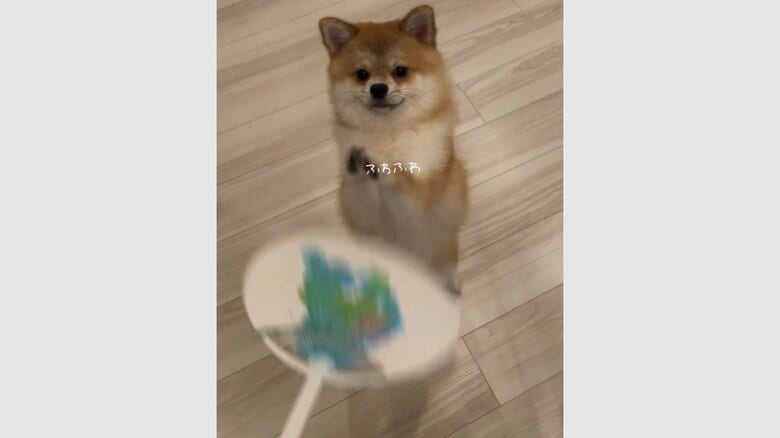 うちわの動きに合わせるかのように、手をフリフリ