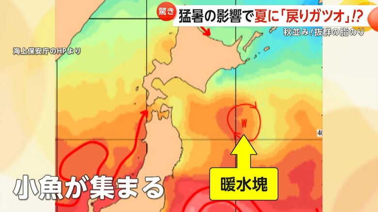 「暖水塊」と呼ばれる巨大な渦を巻く海流