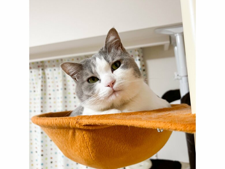 普段の姿（提供：いずもん/まろ様さん）