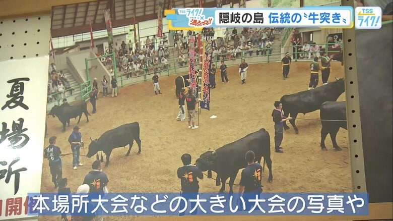 夏場所大会の写真などを展示