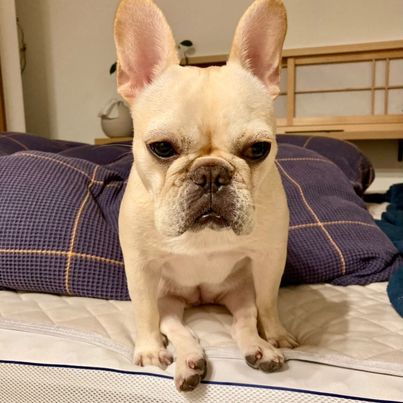 提供：むぎさん