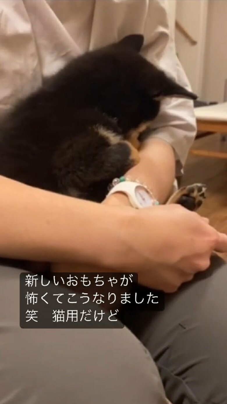 新しいおもちゃが怖くて中村さんの腕の中にうずまる風太くん