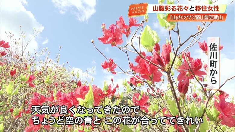 天気が良ければこんな絶景も楽しめる