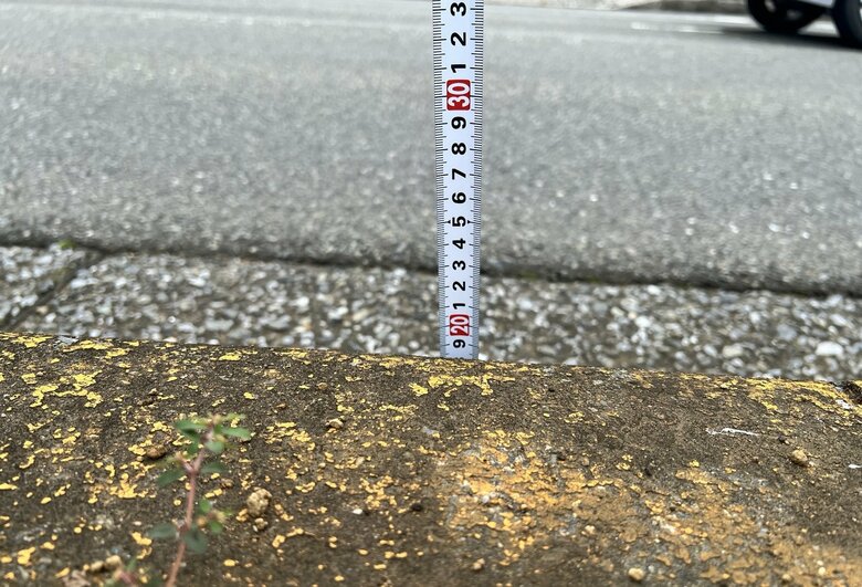 縁石は約15～20センチ（特集班撮影）