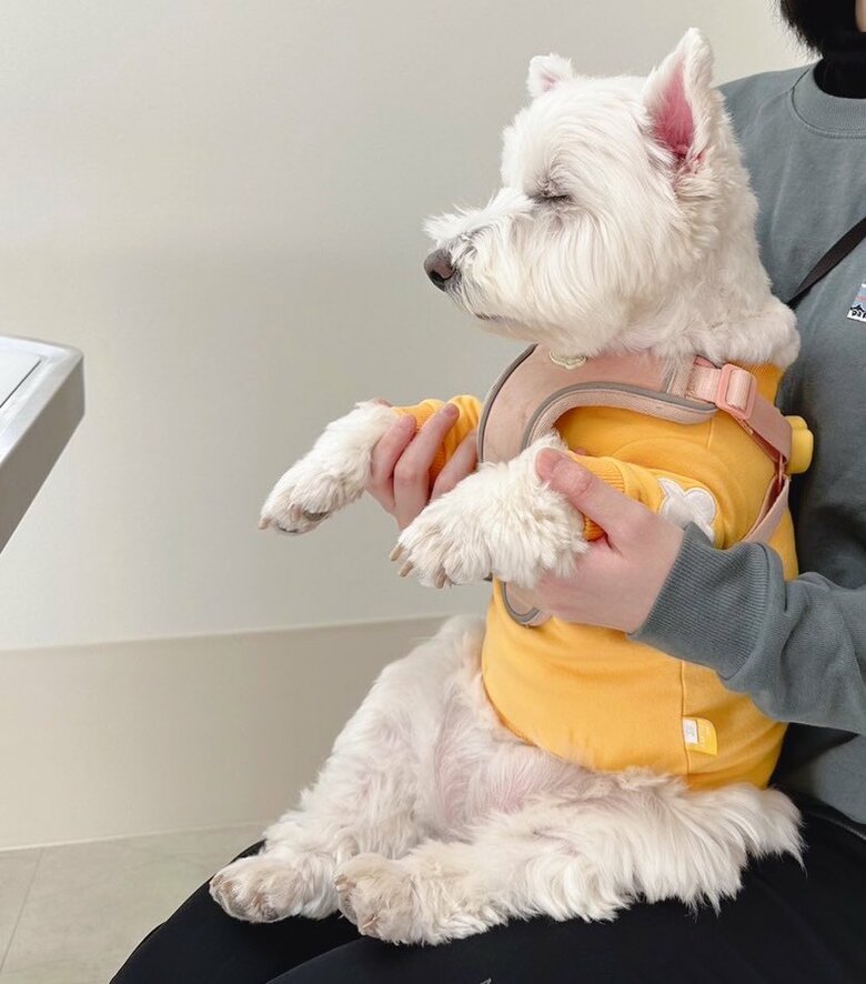 病院で「先生の話を聞きながら寝ちゃった」ところ