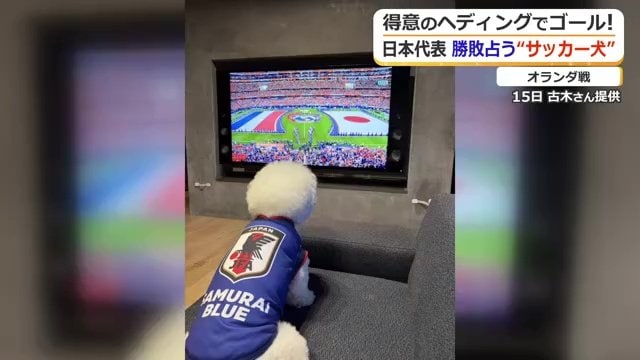 オランダ戦もしっかり観戦