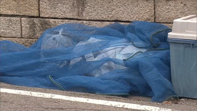 ごみ集積所