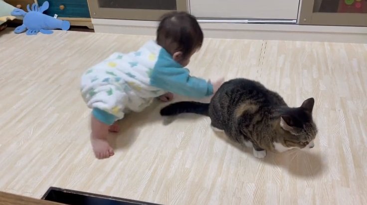 全身でアタック